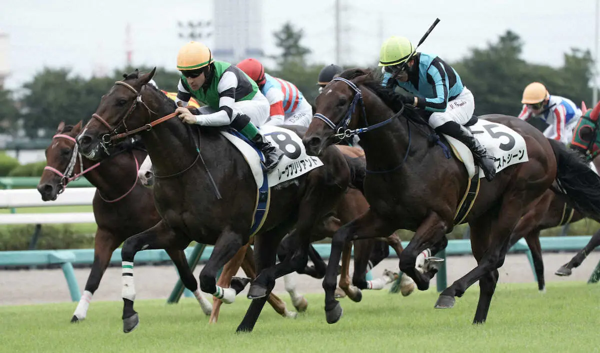 【中山新馬戦】レーヴブリリアント　首差退けて快勝　ルメール「能力ありそう」