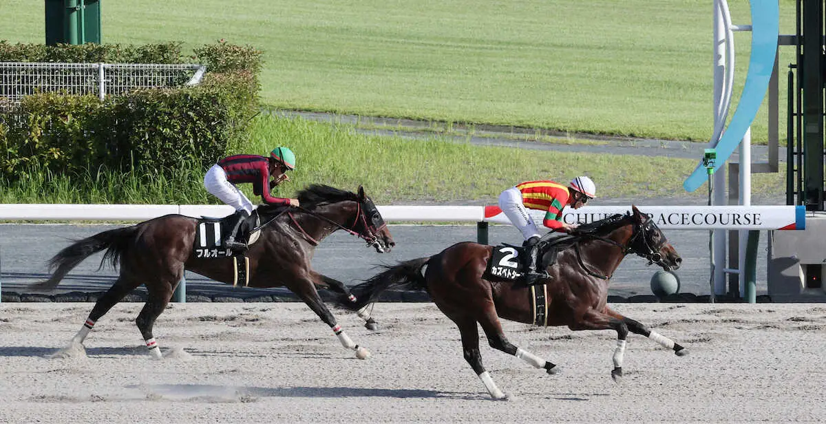 【JRA70周年記念アニバーサリーS】カズペトシーン　力強く伸びてV!　近4戦3勝でオープン入り