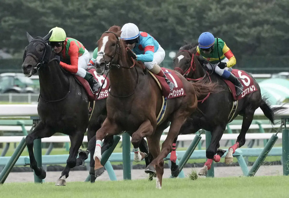 【セントライト記念】アーバンシック　切れ味鮮やか重賞初制覇!ルメール称賛「大人になっていた」