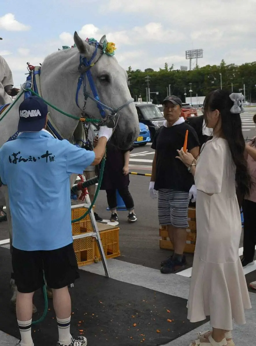 【画像・写真】【名古屋競馬】場外馬券売り場に「ばん馬」がやってくる！ばんえい十勝をPR