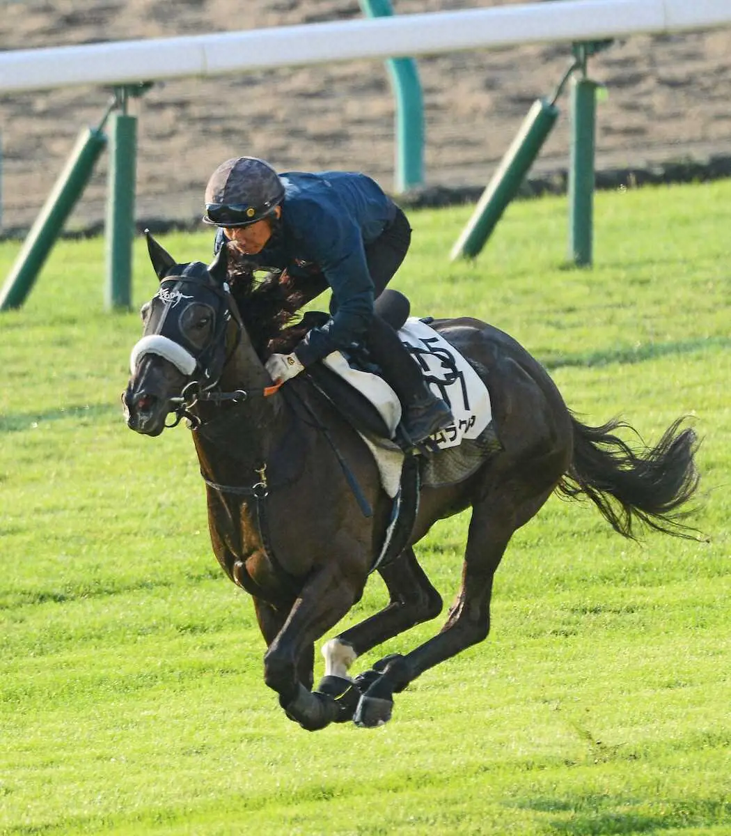 スプリンターズS、ナムラクレアは横山武とのコンビで参戦　騎乗予定だった浜中が騎乗停止のため