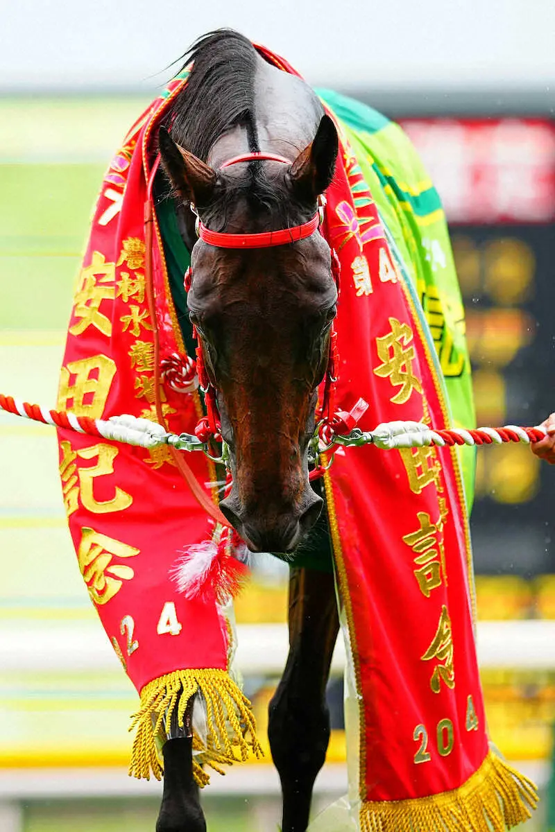 香港馬ロマンチックウォリアーにサウジ、ドバイ遠征プラン