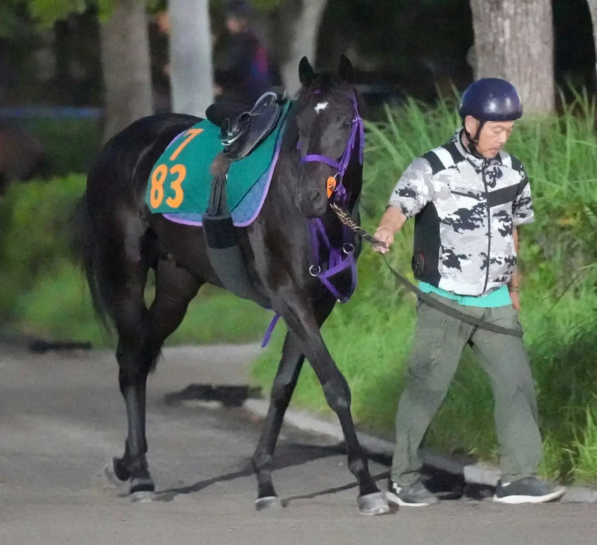 【中山新馬戦】ピックデムッシュ　藤沢流で2歳世代頂上目指す！柴田善絶賛「将来性高い」