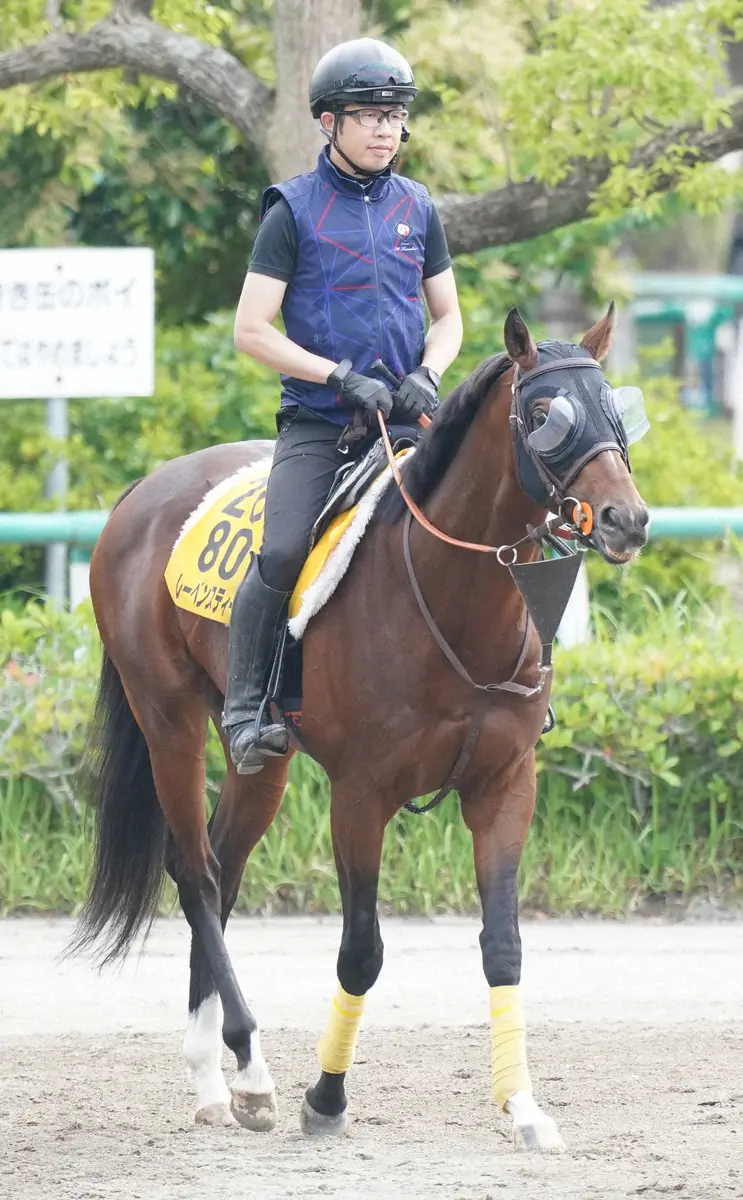 【オールカマー】レーベンスティール　馬体の充実実感、陣営「順調に調教ができている」