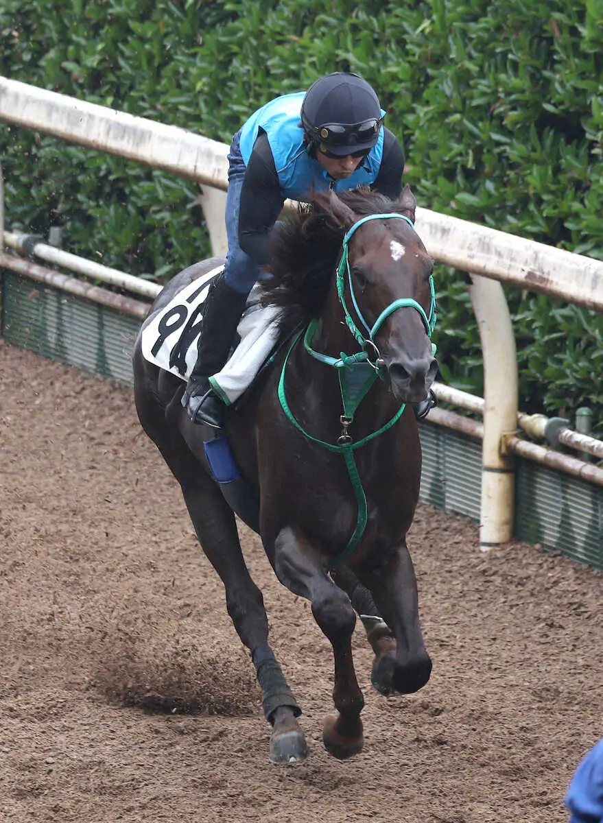 【浦和11R・オーバルスプリント】スレイマン重賞初制覇だ！