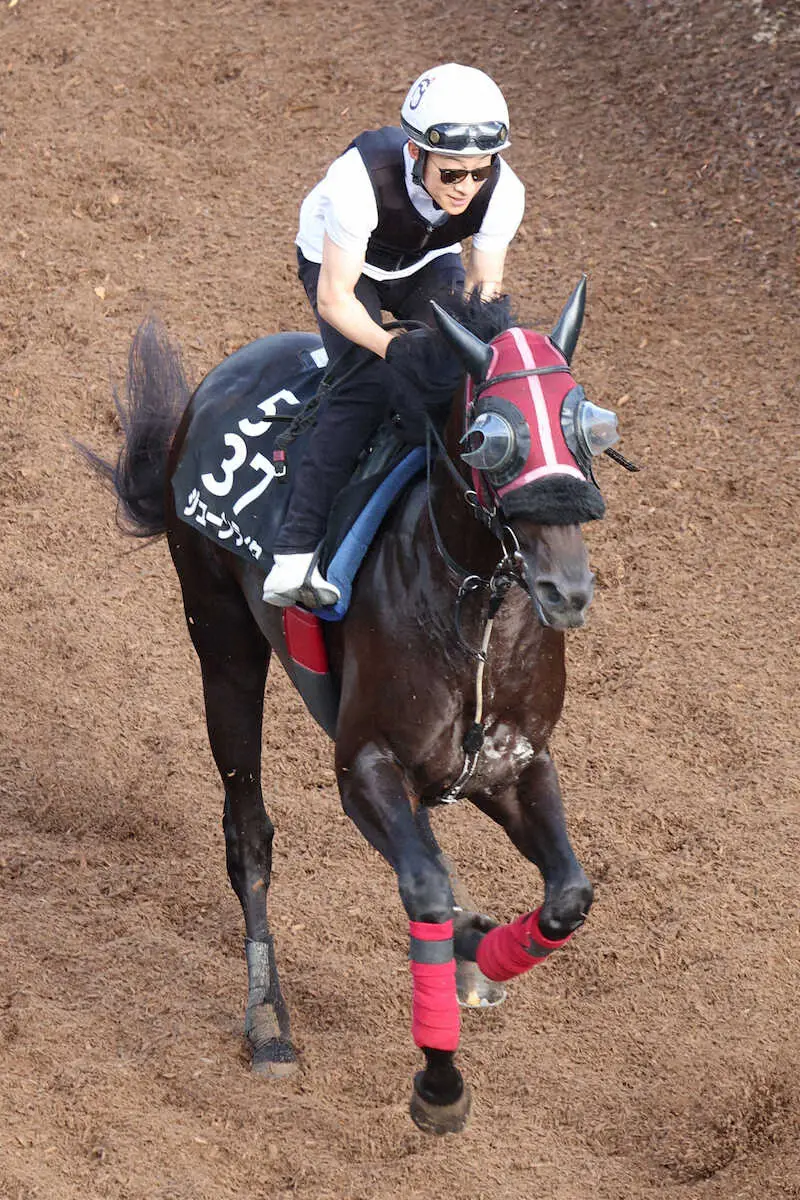 【神戸新聞杯】ジューンテイク　しっかり整った、武英師「しまいもしっかりした動き」