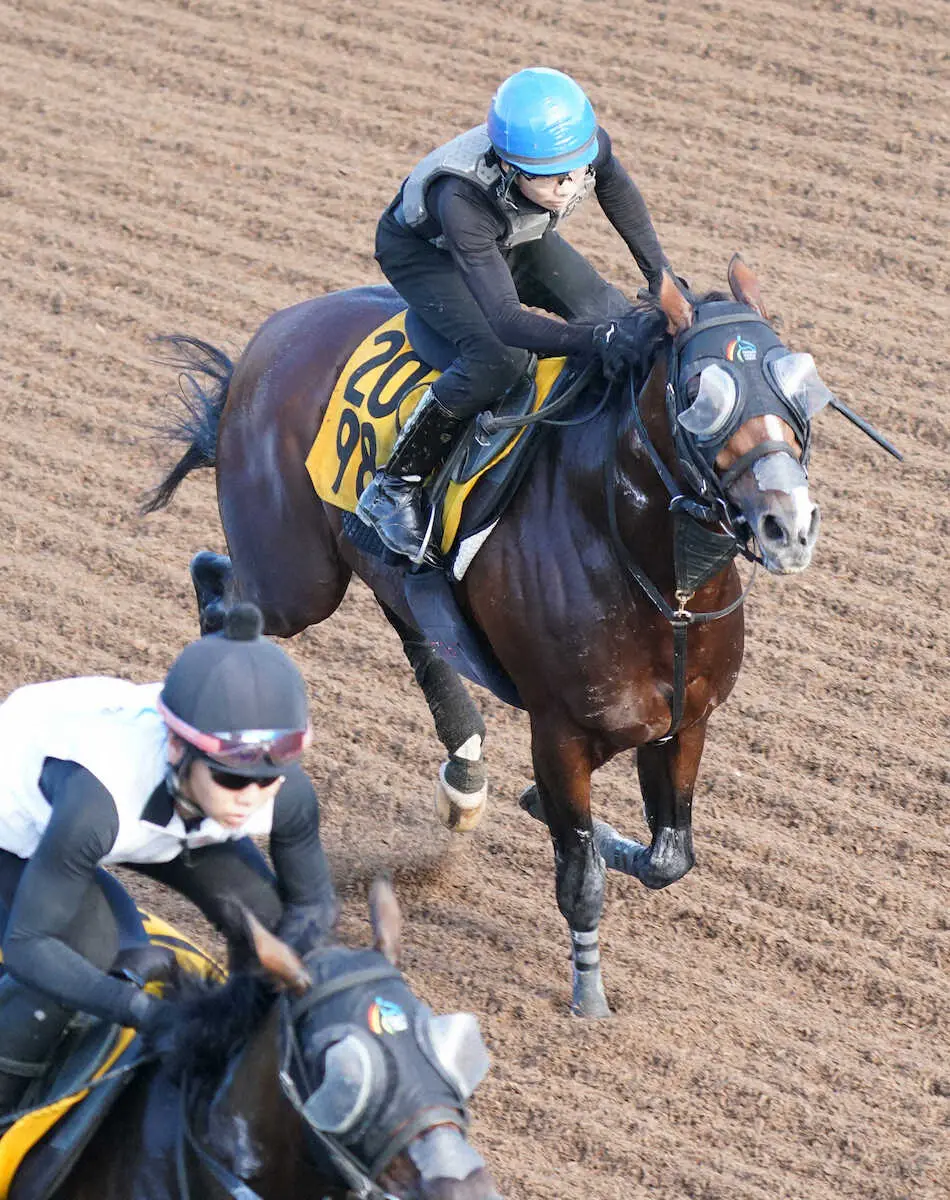 【オールカマー】ロバートソンキー　林師納得の出来「何とかタイトルを」