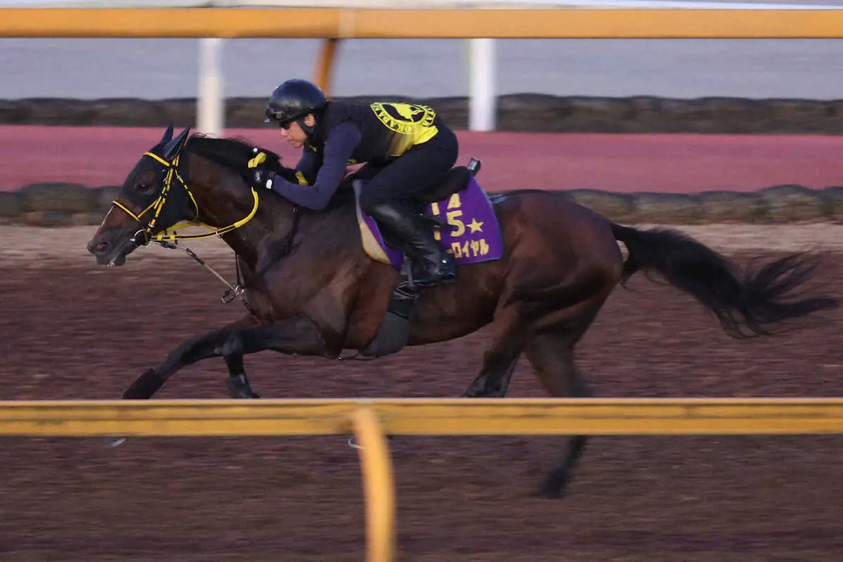 テーオーロイヤル横山武とのコンビで京都大賞典へ　主戦の菱田が落馬負傷のため