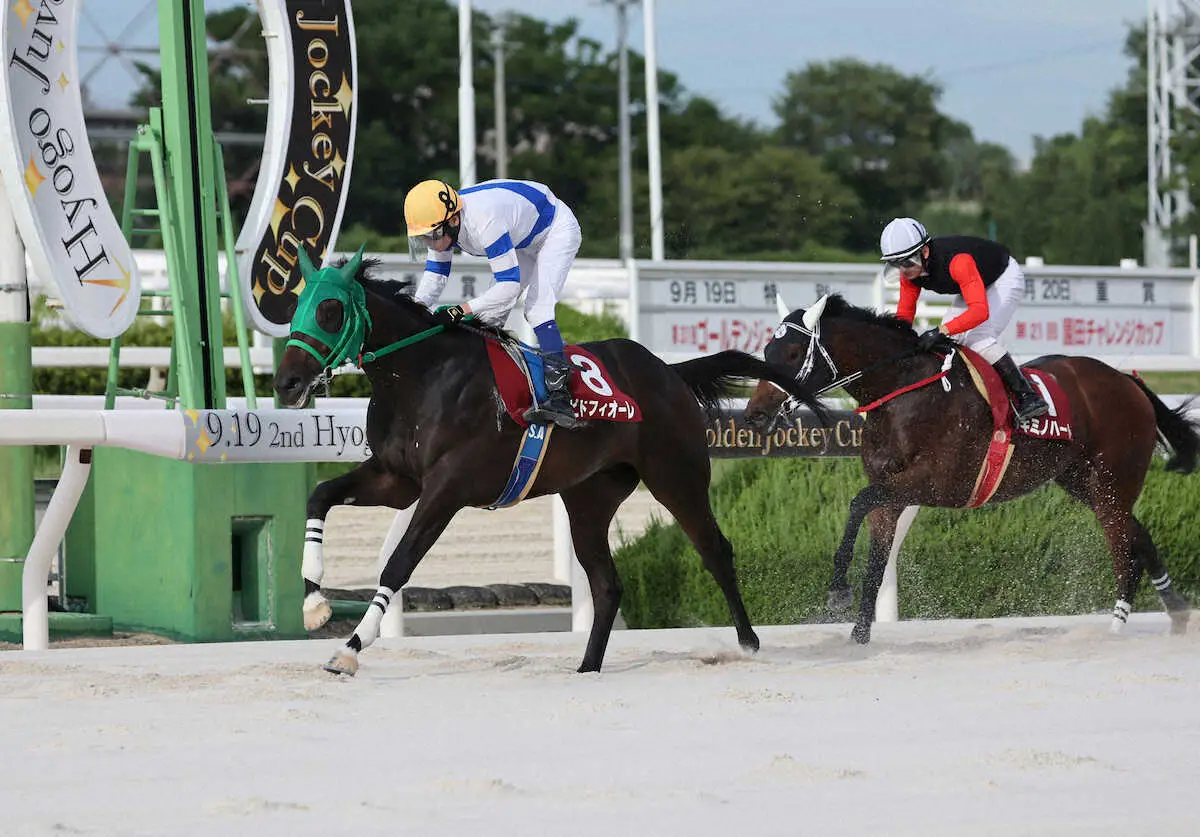 【園田競馬　兵庫ジュベナイルカップ】ラピドフィオーレ　本領のスパート決め重賞初制覇