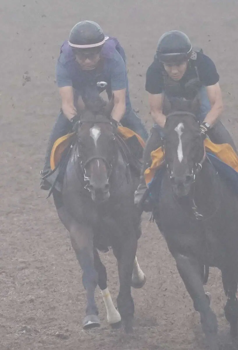 【オールカマー】レーベンスティール万全態勢！3カ月ぶり実戦へ余力十分1F11秒3