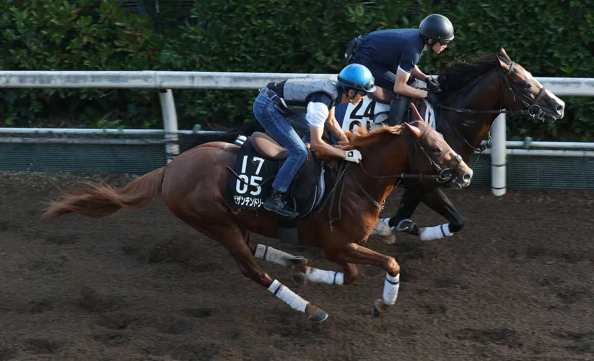 【神戸新聞杯】ビザンチンドリーム　馬なりで余力十分、幸「サラッと」