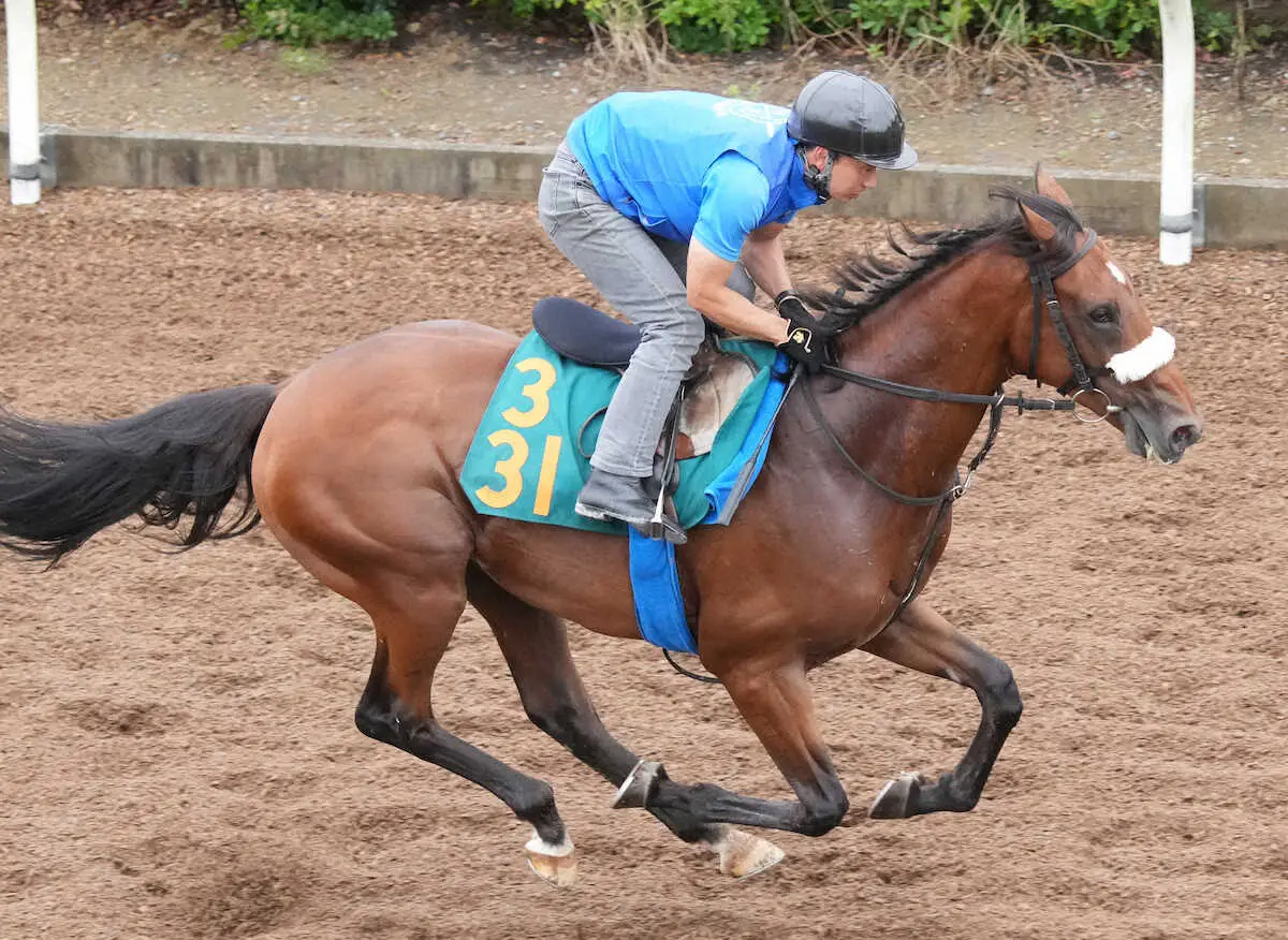 アーモンドアイの初子アロンズロッドは10月26日東京デビューを視野に