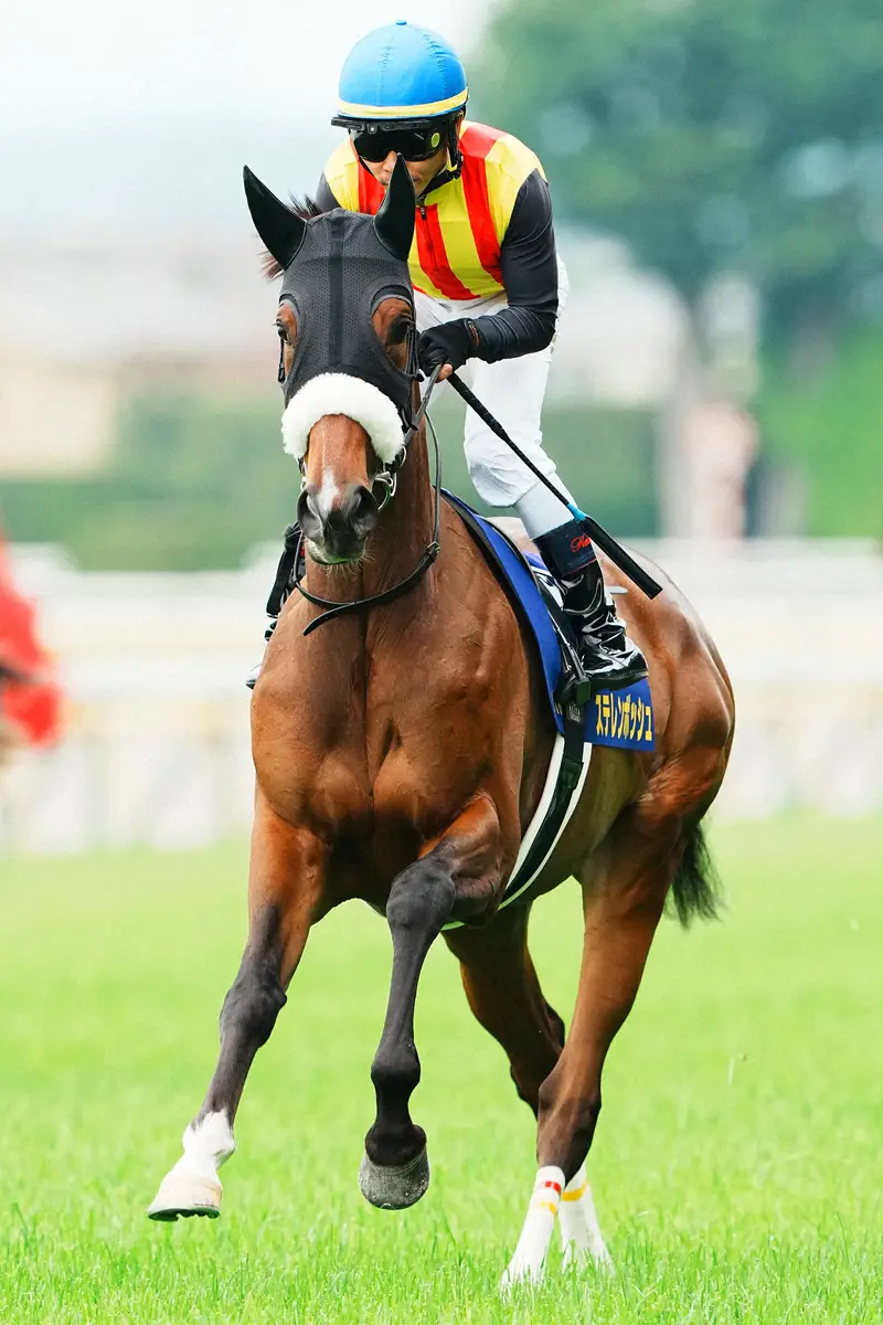 桜花賞馬ステレンボッシュ、美浦を出発して栗東入り　滞在で3冠ラスト秋華賞へ