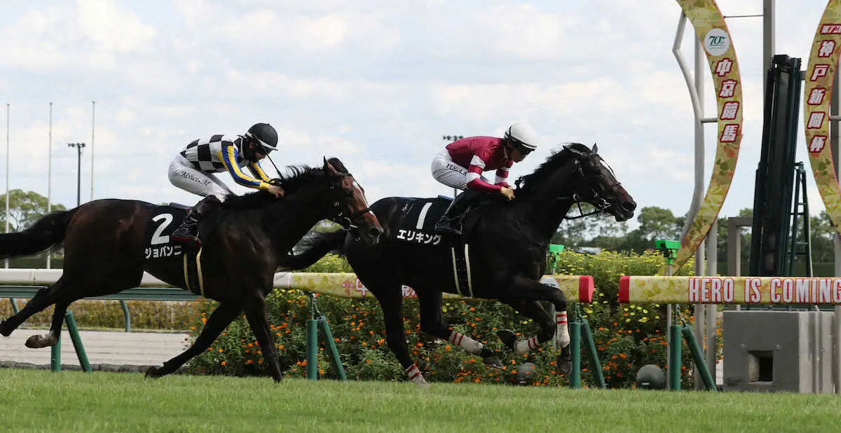 【野路菊S】エリキング　直線突き抜けて連勝！断然人気応えた