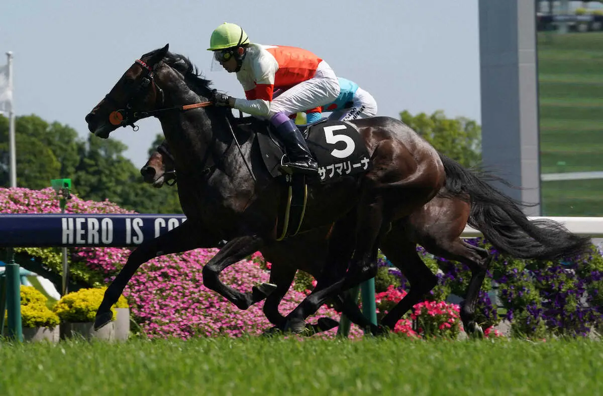 【神戸新聞杯】武豊騎乗サブマリーナ出走取消、庄野師「右後肢フレグモーネのため」