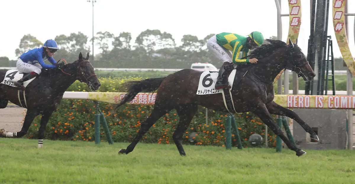 【中京5R新馬】サトノシャイニングV　松山「強い競馬ができました」