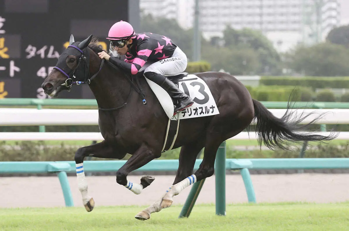 【中山5R新馬】6番人気テリオスルナが絶妙ペースで逃げ切りV 　小林勝「乗り味の良さがあります」