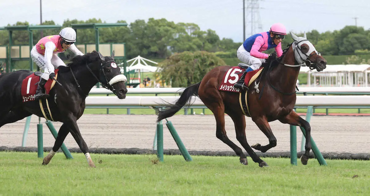 【神戸新聞杯】メイショウタバル快逃V!重賞2勝目で菊花賞へ弾み　石橋師「馬に感謝」