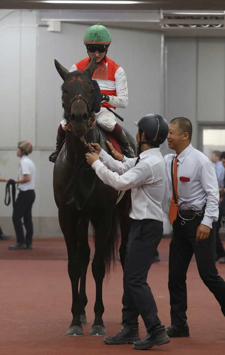 【神戸新聞杯】ショウナンラプンタ3着　鮫島駿は手応え「収穫の多い一戦でした」