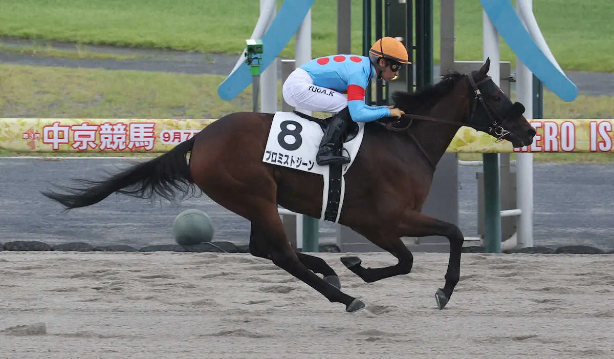 【中京新馬戦】プロミストジーン快勝!　川田は成長に期待「調教通りのいい内容でした」