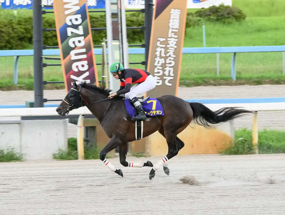 【金沢競馬　白山大賞典】ディクテオンが快勝　横山和「格好つけて勝ってやろうと。楽しかった」