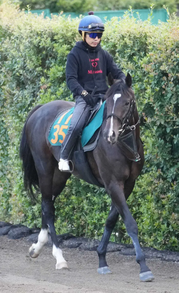 【中山新馬戦】ウインオアシス　兄の背中追う！畠山師「もう一段階上げていければ」