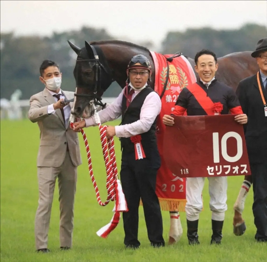 富士Sで始動するセリフォス、鞍上が藤岡佑に決定　22年富士Sを制して以来4度目のコンビ