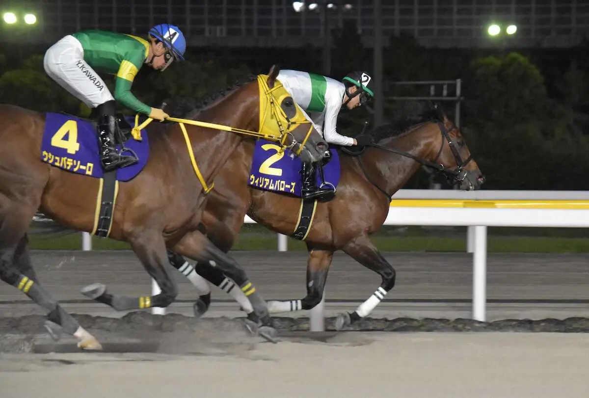 【画像・写真】【船橋競馬　Jpn2日本テレビ盃】ウィリアムバローズ逃げ切り！　ウシュバ、ソトガケ斬り決まった