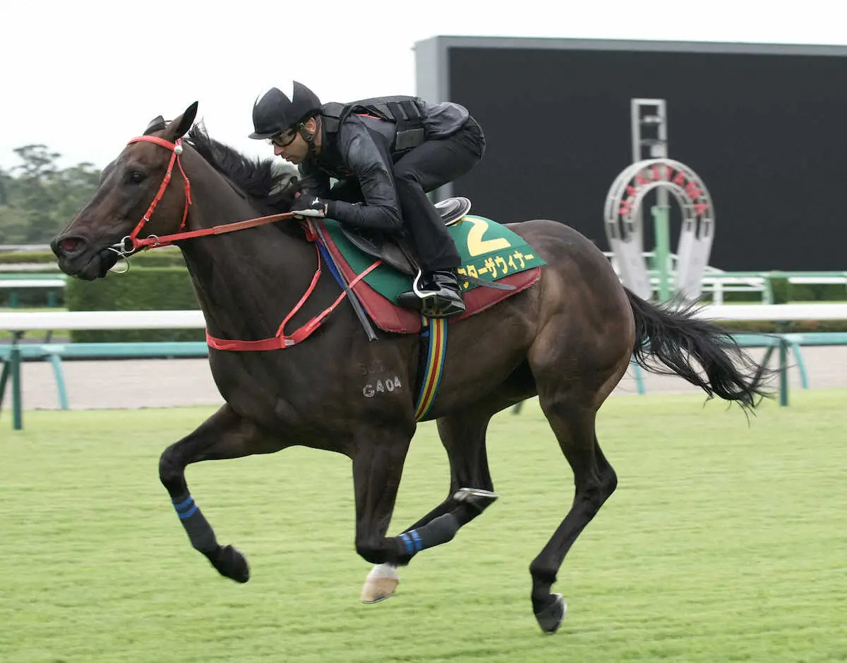 【スプリンターズS】“香港からの刺客”ビクターザウィナー　モレイラと息ピタリ！ラスト1F11秒6