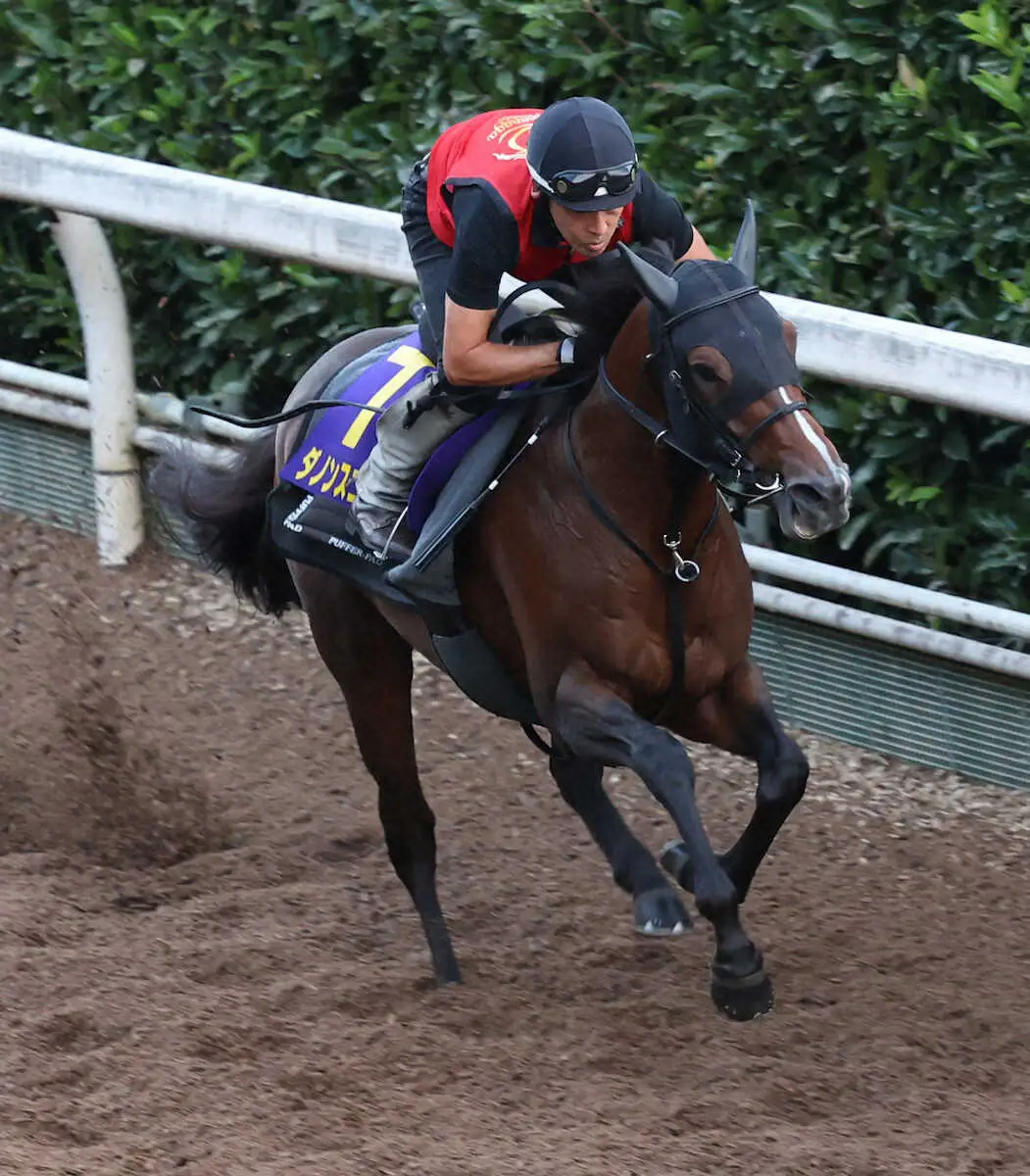 【スプリンターズS】ダノンスコーピオン　坂路で活気十分！福永師「体が締まって張りが出ている」