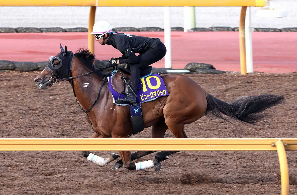 【スプリンターズS】ピューロマジック　反撃へ2馬身先着、安田師「元気でした」