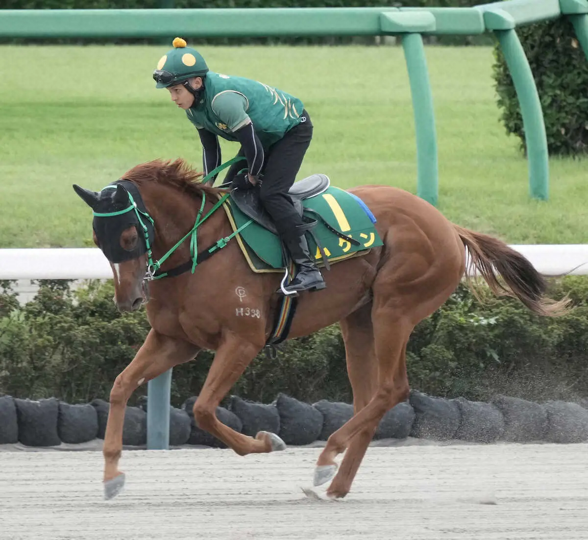 【スプリンターズS】香港馬ムゲン動き良化！芝ラスト13秒3、1日前倒しで木曜追い