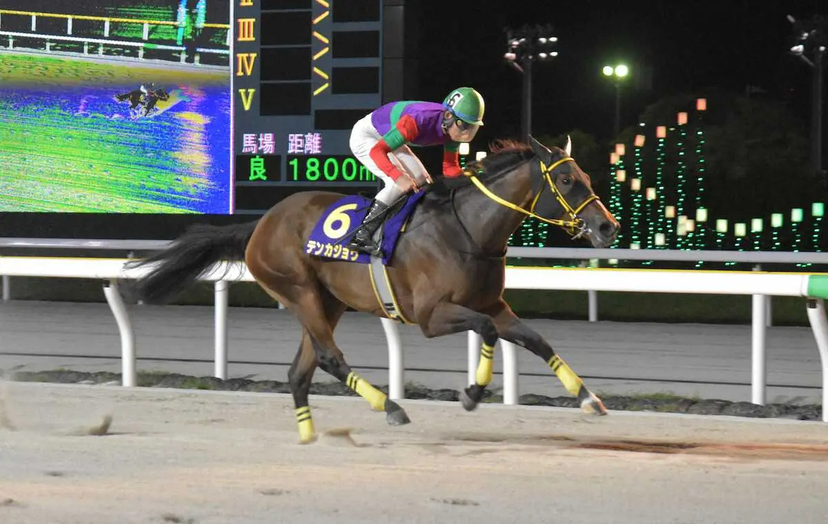 【マリーンC】テンカジョウ　余裕差し3連勝！岡田師「これからもっともっと良くなってくる」