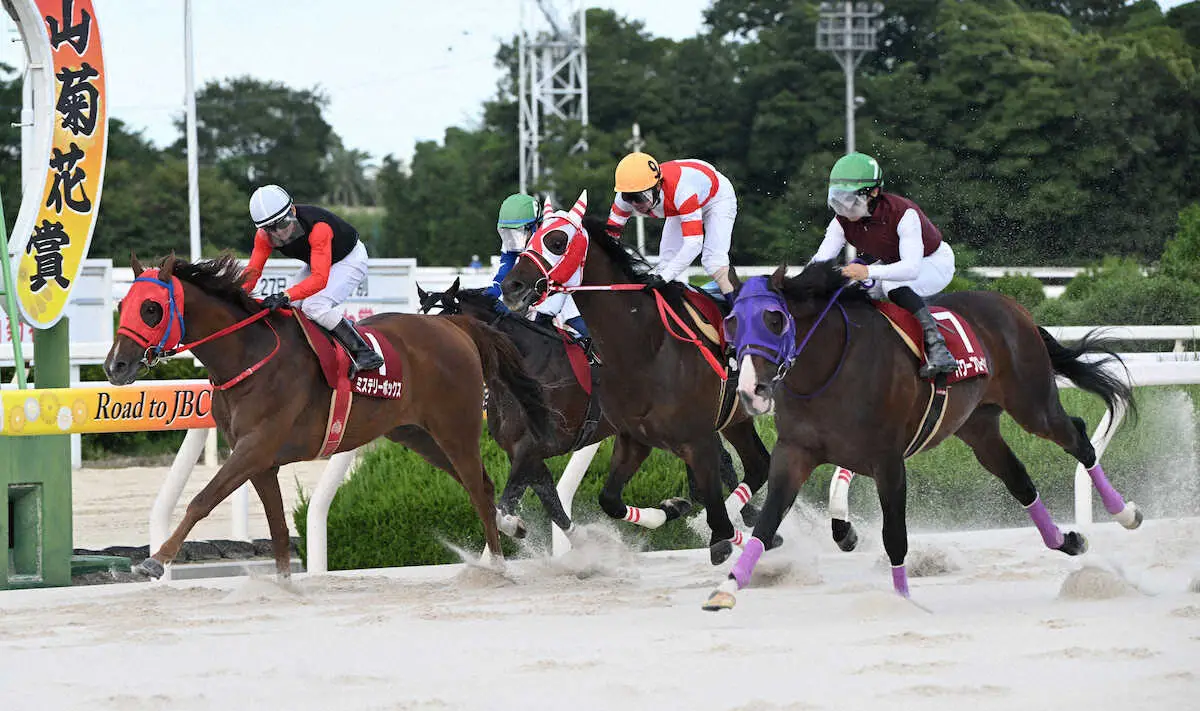 【園田競馬　姫山菊花賞】パワーブローキング　鋭脚繰り出して重賞初制覇