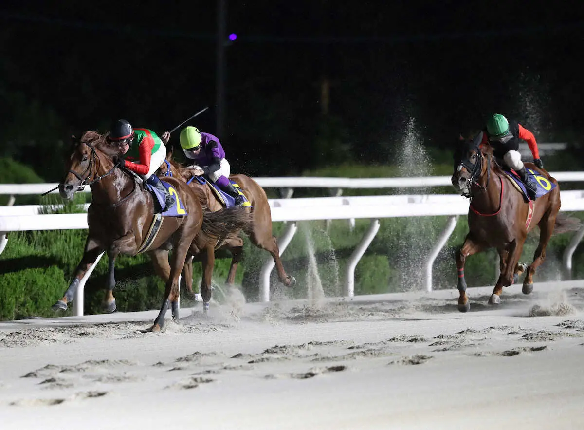 【園田競馬　スポニチなにわ賞】8歳スマートセラヴィー　転入初戦でV　小牧太「まだまだ活躍できる」