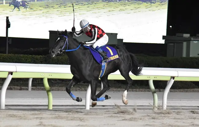 【大井・ジャパンダートCまであと4日】10月2日20時5分発走・大井所属サントノーレ中央勢撃破だ！