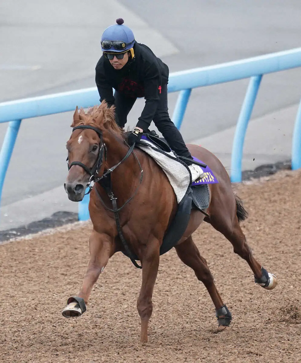 【スプリンターズS】（16）ウイングレイテスト　重賞2戦連続2着　大外も地力期待