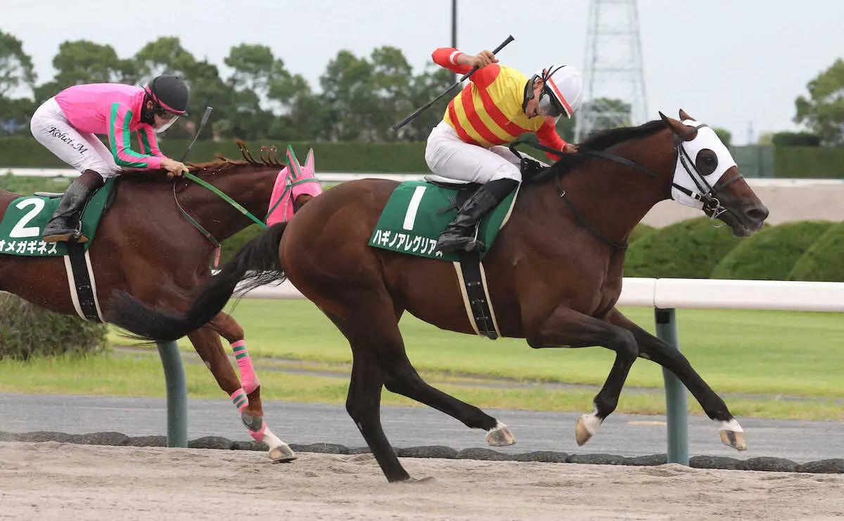 【シリウスS】ハギノアレグリアスが連覇　鞍上・岩田望「本当に凄い馬」