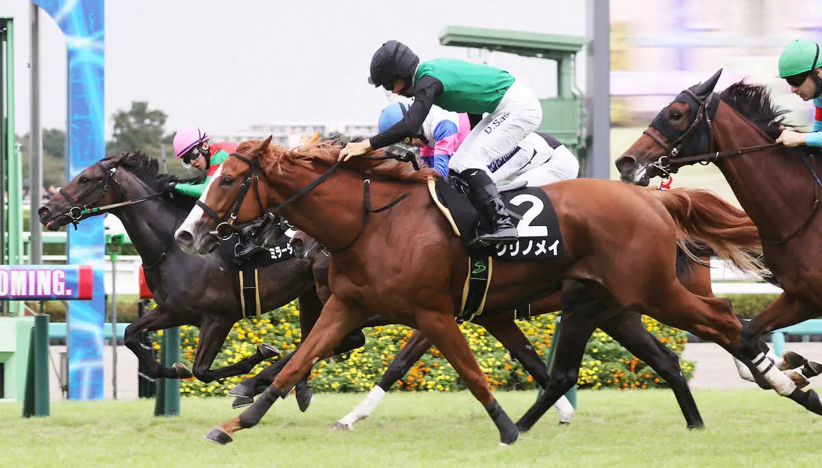 【サフラン賞】クリノメイ差し切って連勝　佐々木「うまく落ち着かせて臨めた」