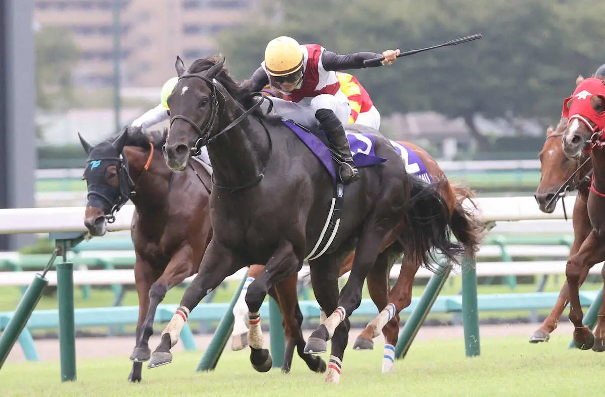 【スプリンターズS】秋G1は波乱開幕！ルガルV！9→5→4番人気で3連単29万9070円