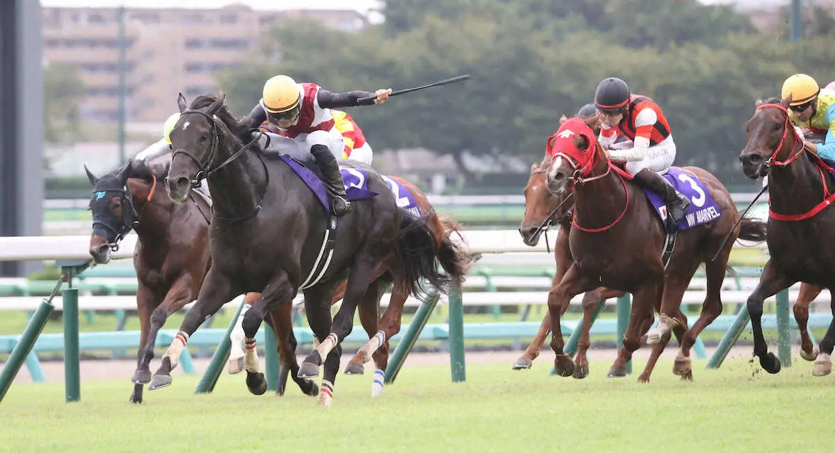 【画像・写真】【スプリンターズS】伏兵ルガルが新スプリント王!　7年目・西村淳は涙のG1初制覇