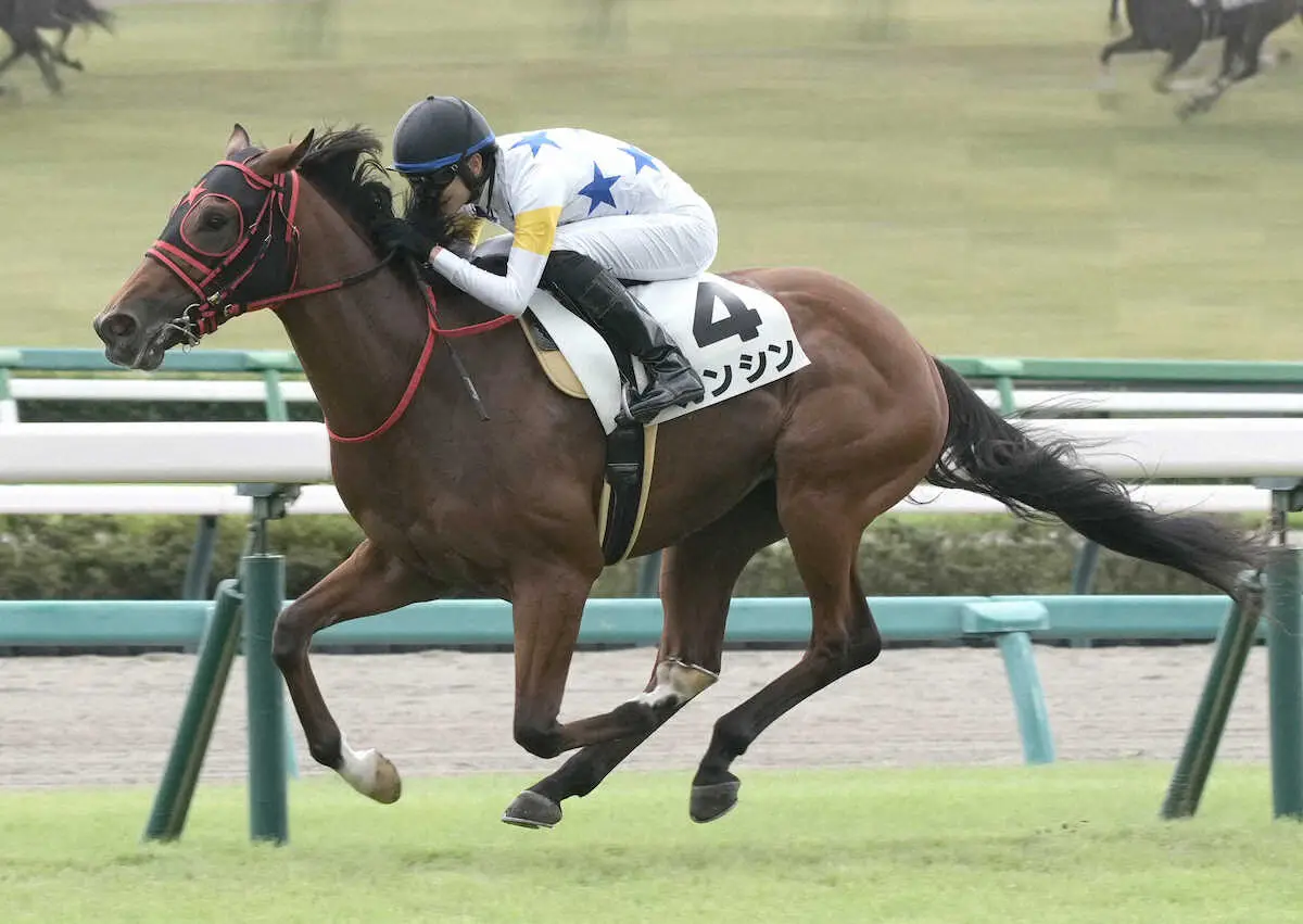 【中山新馬戦】カンシン　余裕十分に快勝!　西園翔師「1200メートルが合っていると思う」