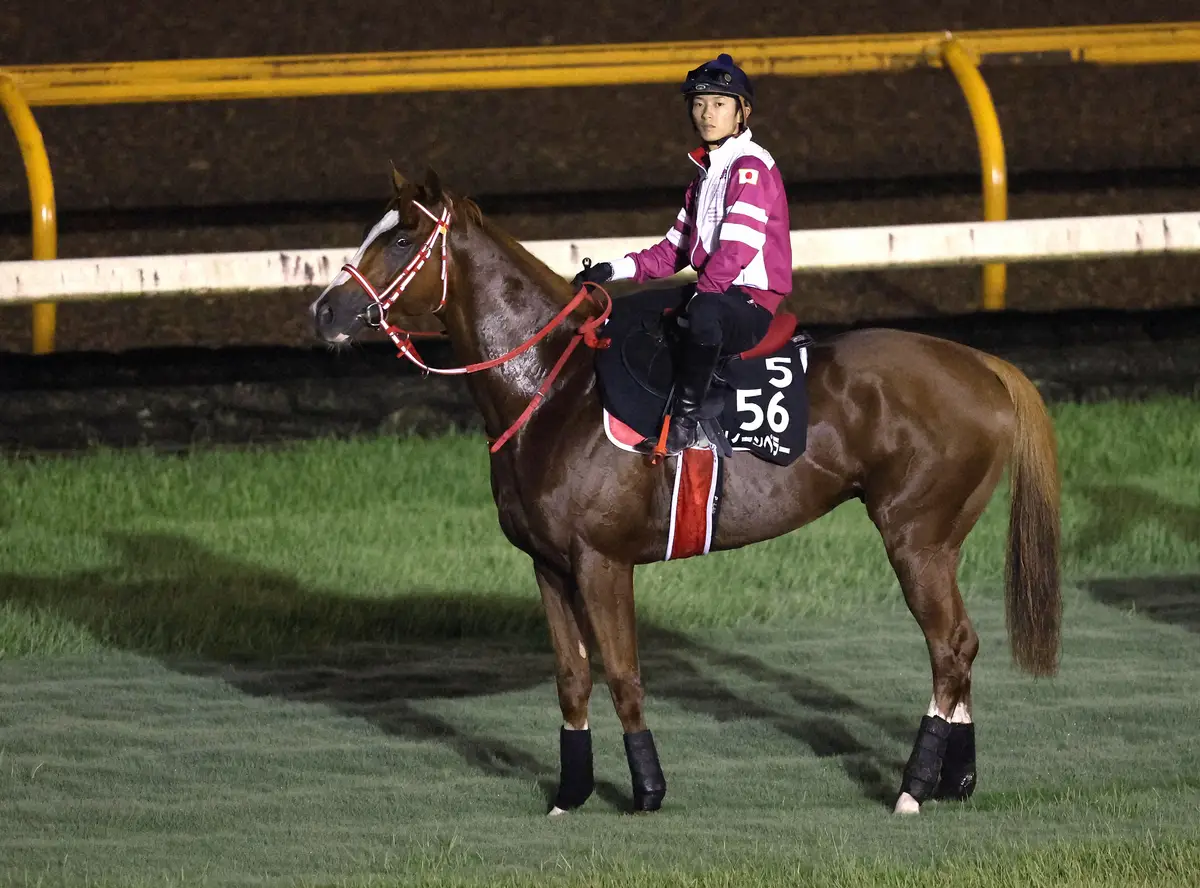 【凱旋門賞展望】仏3歳馬ソジーが主役　日本馬唯一の参戦シンエンペラーは前走3着で評価急上昇