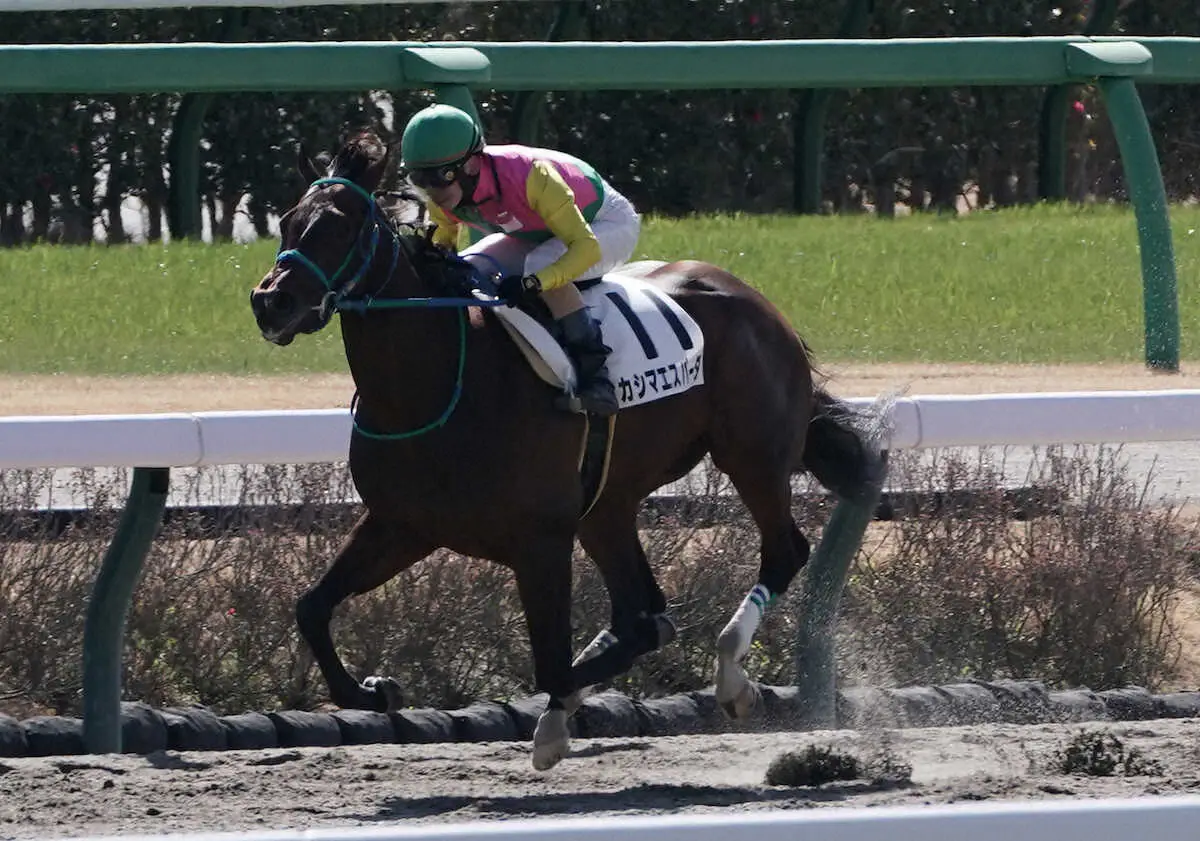 【ジャパンダートC】カシマエスパーダ　父母ともに大井巧者