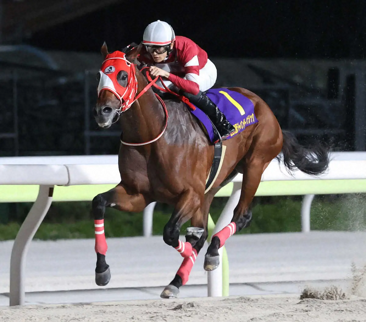 【ジャパンダートクラシック】フォーエバーヤングV！！坂井「ホっとした」米BCクラシックへ弾み