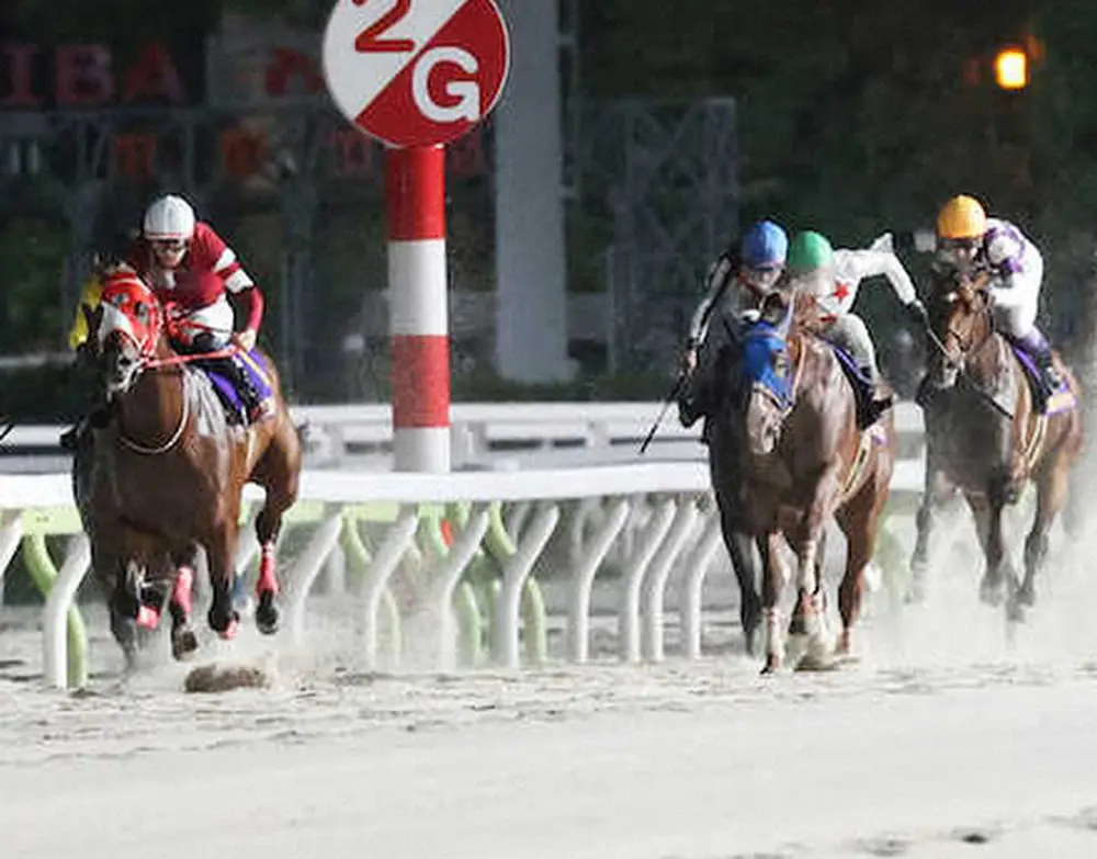 【ジャパンダートクラシック】武豊「勝ちに行っての結果」サンライズジパングは積極先行3着