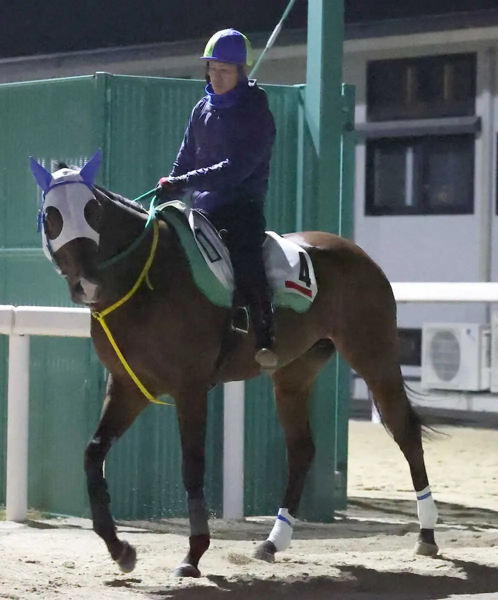 【大井11R・東京盃】イグナイター　JBCへ貫禄駆け