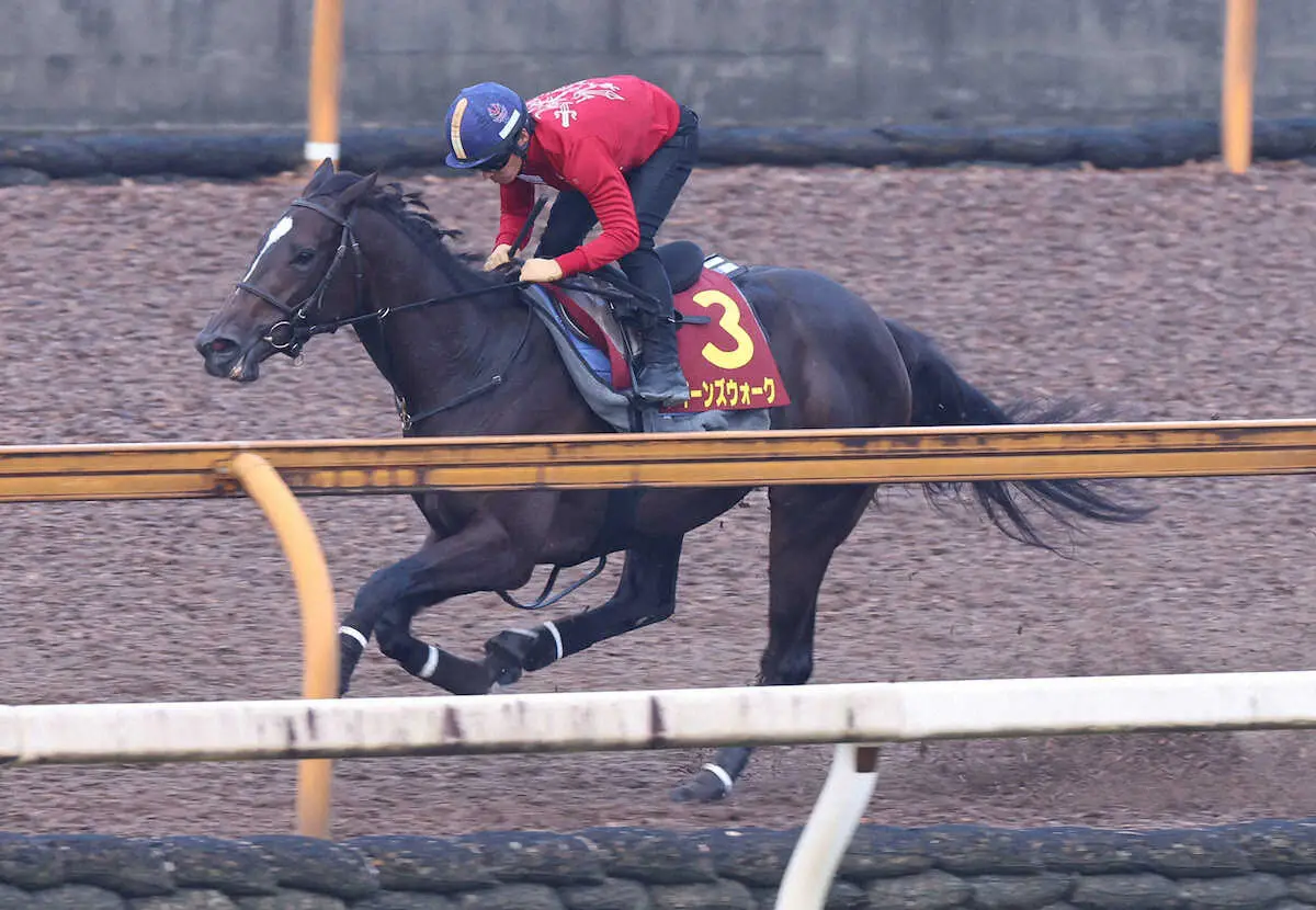 【秋華賞1週前追い】クイーンズウォーク　リズムを大事に　川田「もう一段、良くなってくれれば」