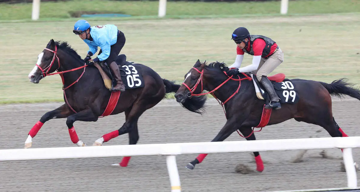 【サウジアラビアRC】シンフォーエバー　馬なりで好感触菅　菅原明はリズム重視で