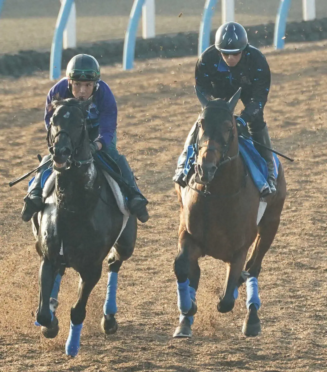 【毎日王冠】ホウオウビスケッツ　5F65秒4軽快な脚さばき　奥村武師「だいぶ復調してきた」